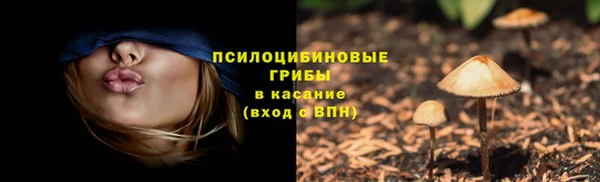 дживик Вяземский