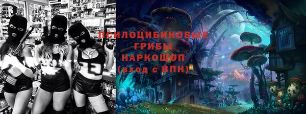ешки Вязьма