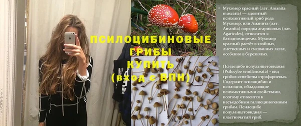 дживик Вяземский