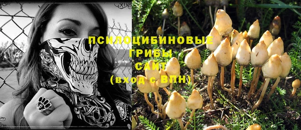 а пвп мука Верхний Тагил