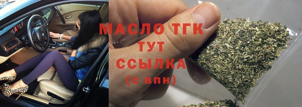 хмурый Верея